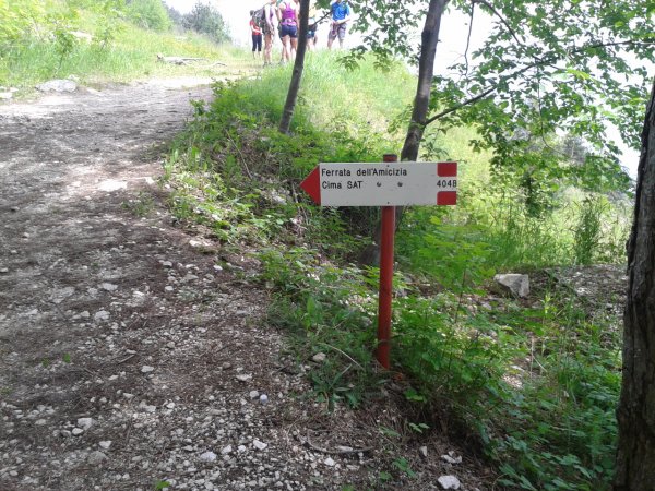 Indicazioni