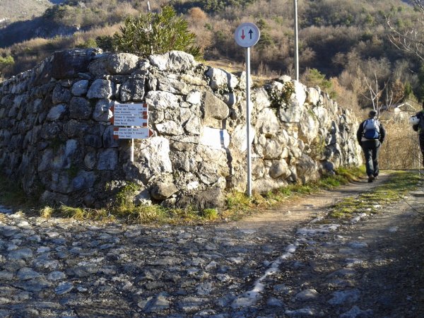 Indicazioni