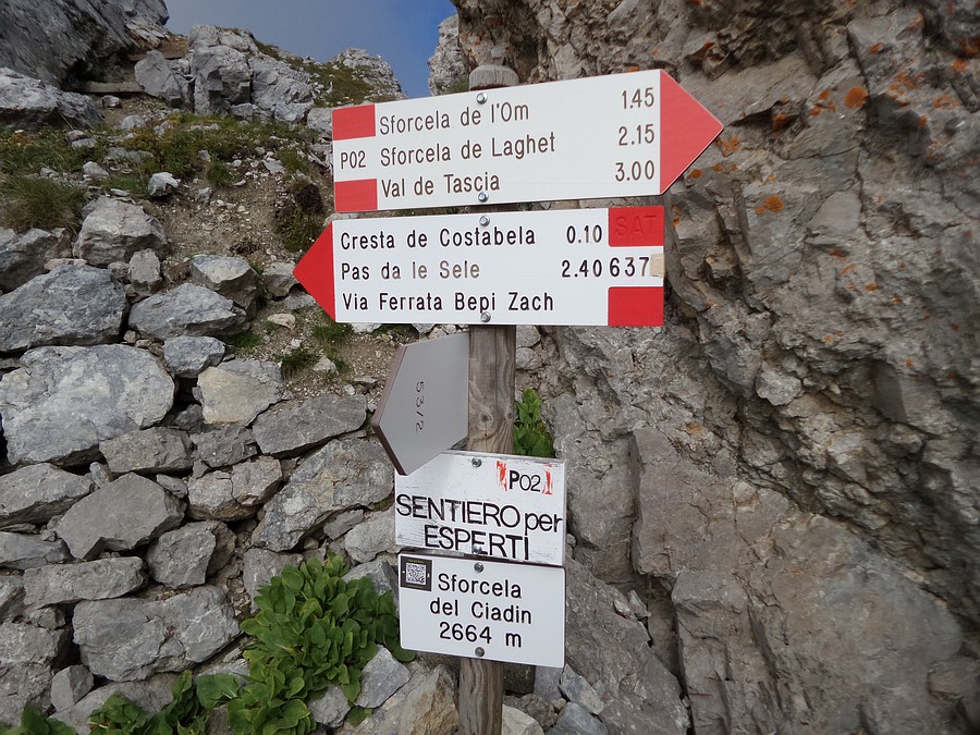 Indicazioni