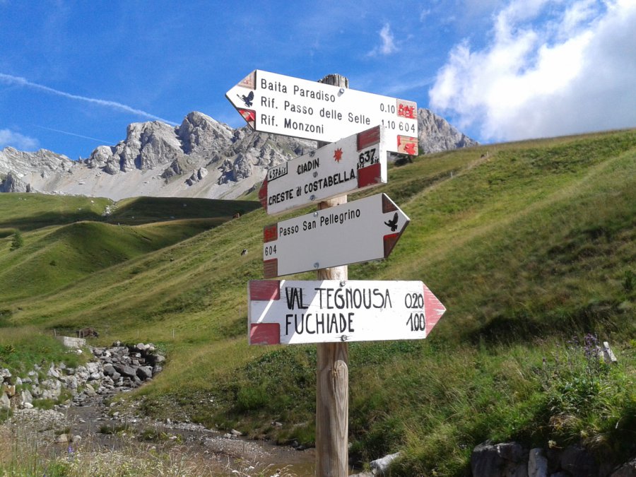 Indicazioni