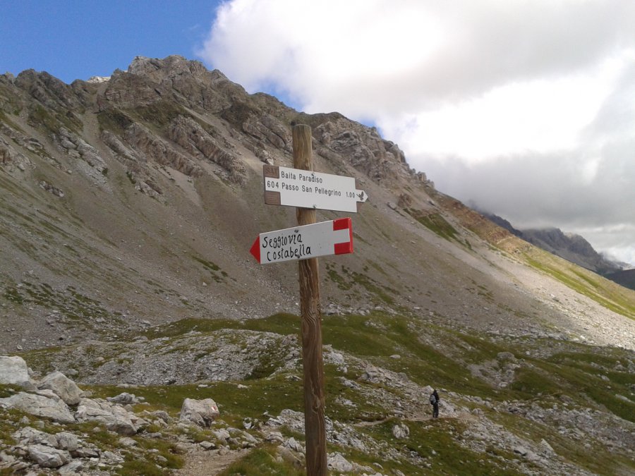 Indicazioni