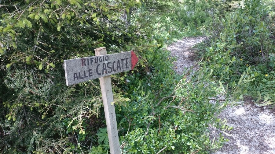 Indicazioni