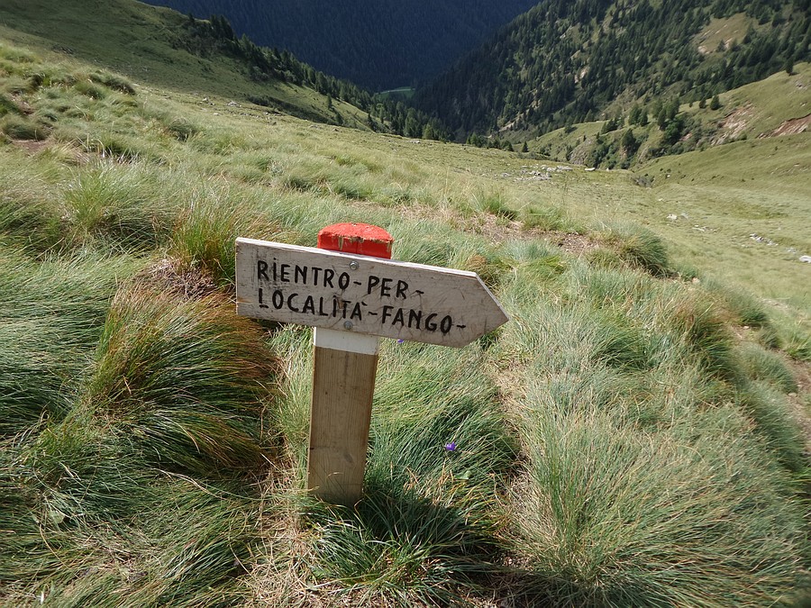Indicazioni