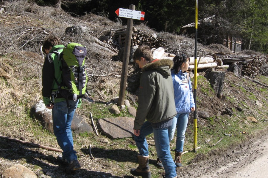 Indicazioni