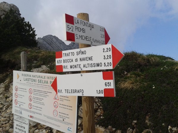 Indicazioni