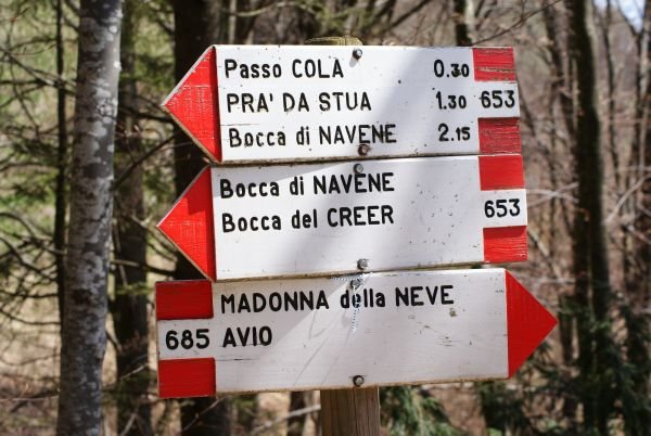 Indicazioni