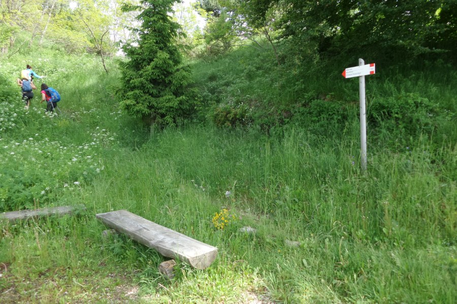 Indicazioni