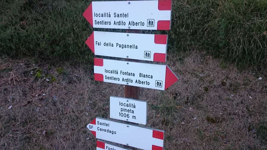 Indicazioni