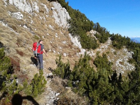 /treks/europe/it/tn/paganella/paganella/ferrata-delle-aquile/2015-12-27-11-14-28/image.jpg