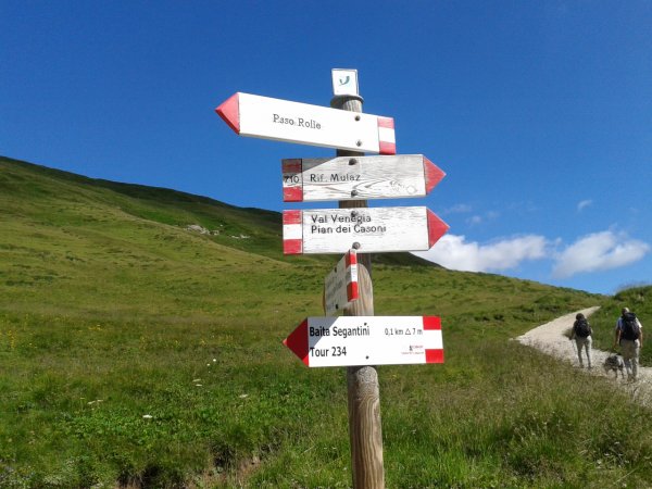 Indicazioni