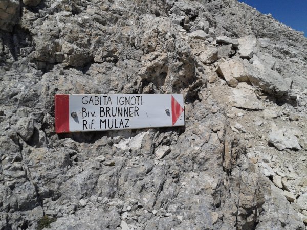 Indicazioni