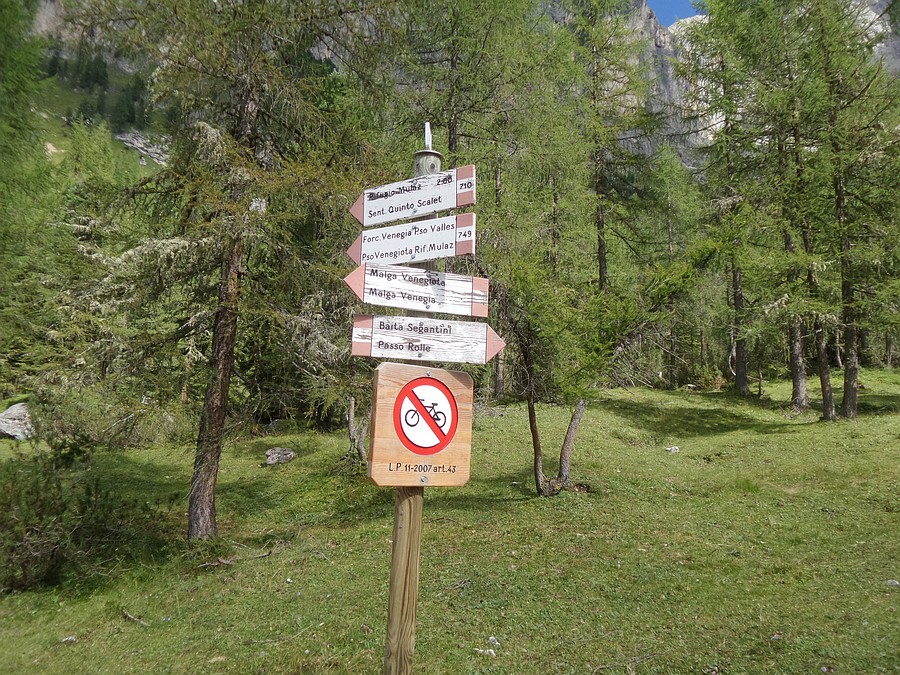 Indicazioni