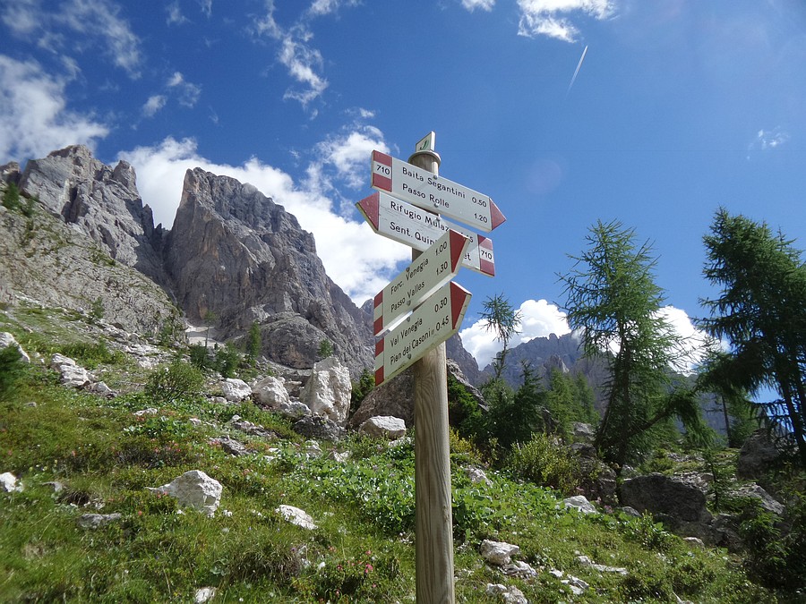 Indicazioni
