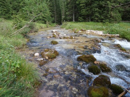 Torrente Travignolo 
