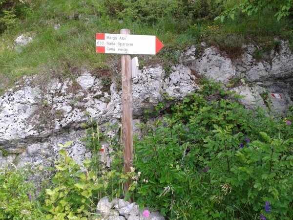 Indicazioni
