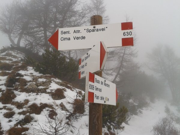 Indicazioni