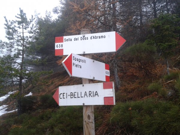 Indicazioni