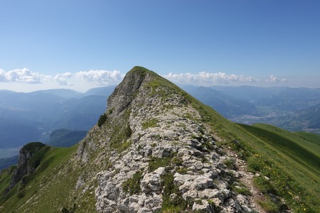 Dorsale
Dorsale