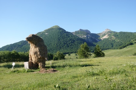 Orso
Orso