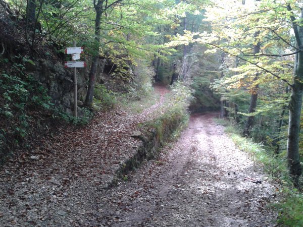 Indicazioni