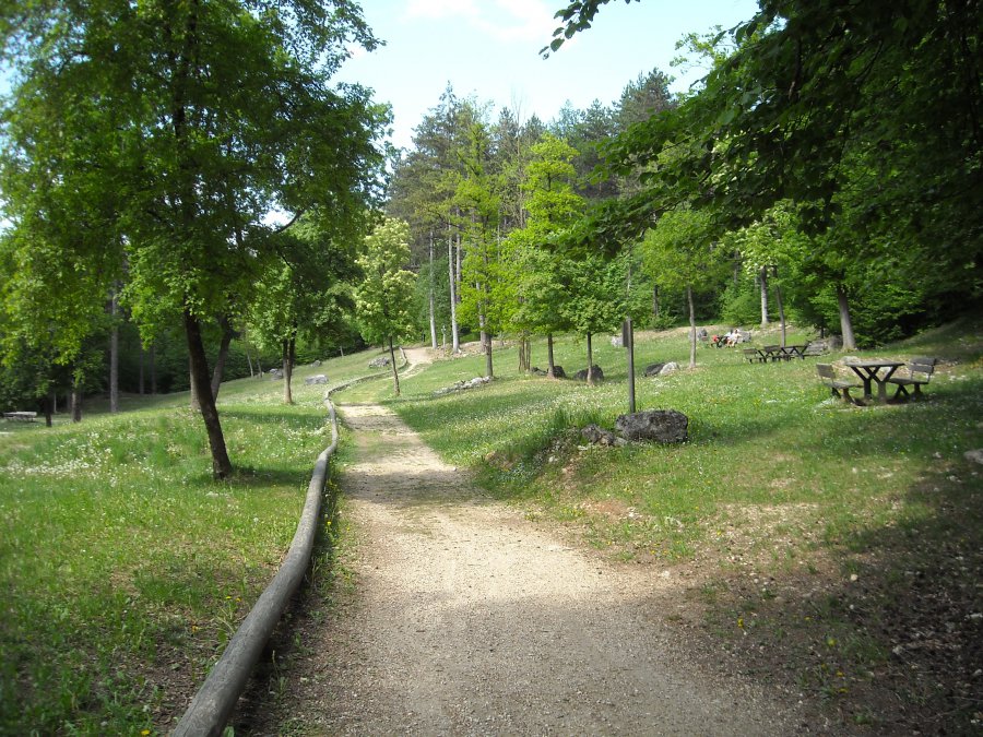 Radura