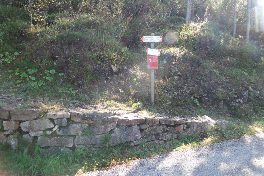 Indicazioni
