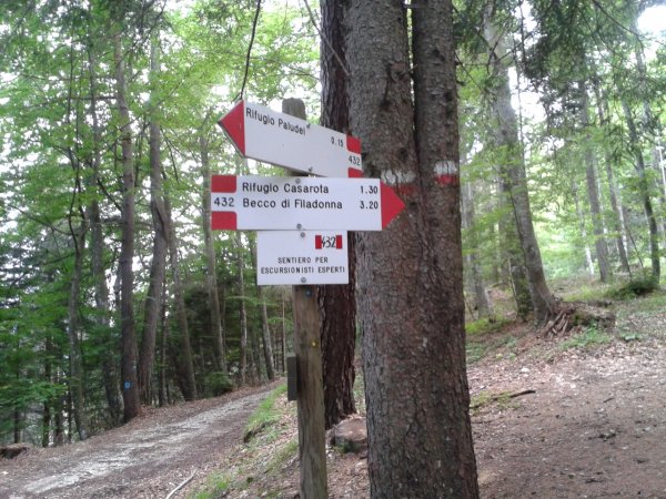 Indicazioni