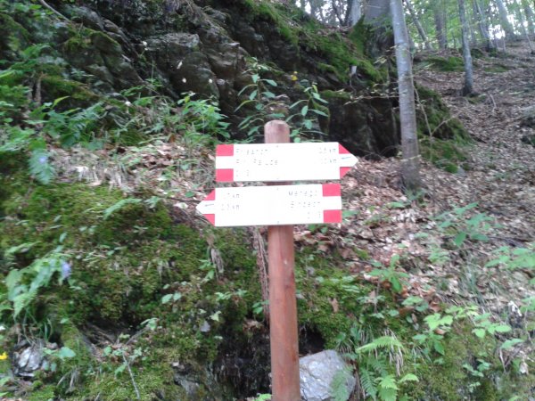Indicazioni