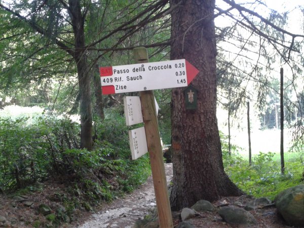 Indicazioni