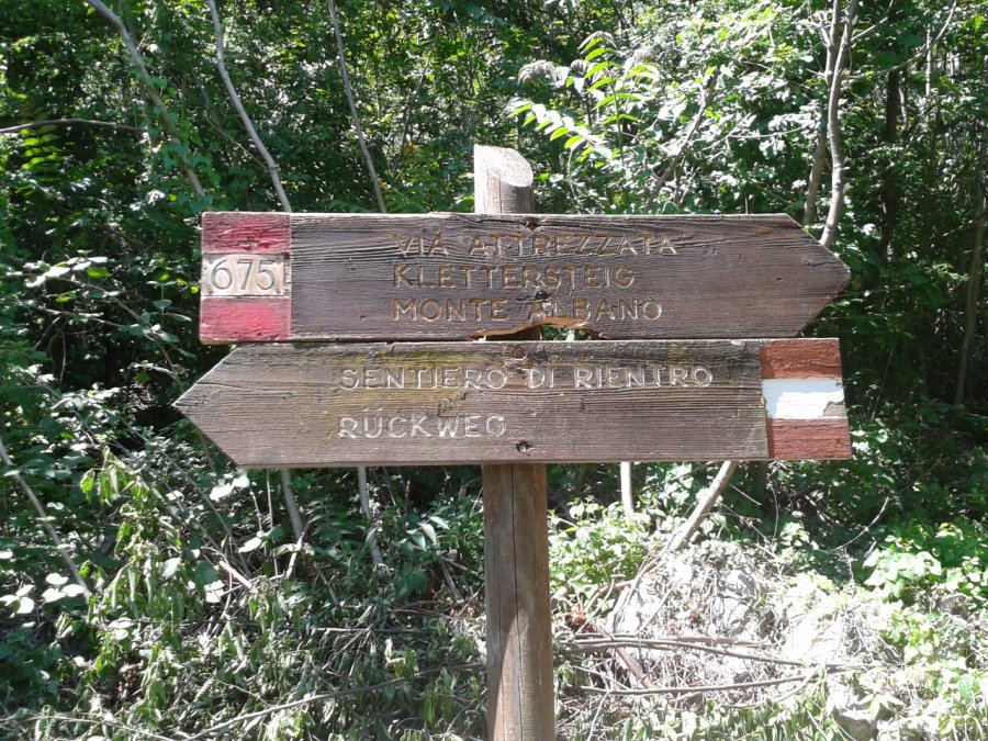 Indicazioni
