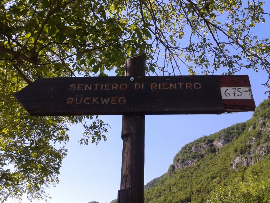 Indicazioni
