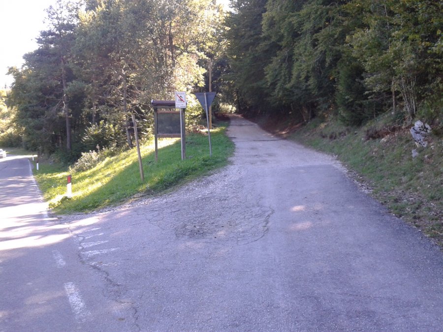 Bivio stradale