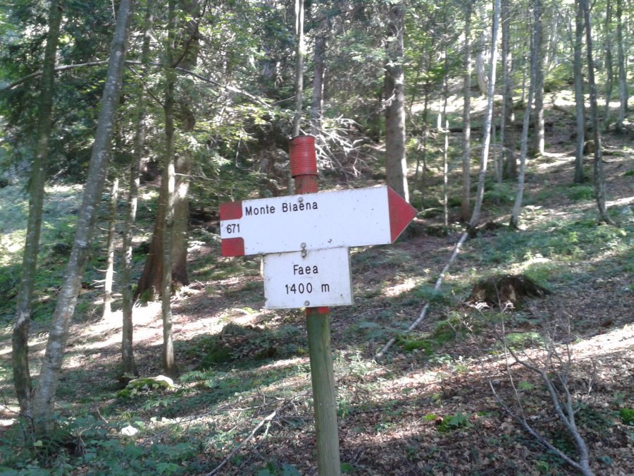 Indicazioni