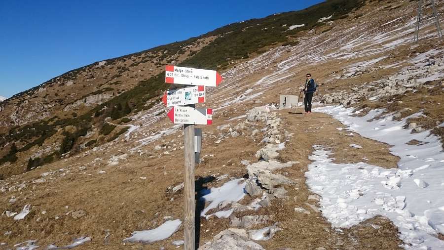 Indicazioni