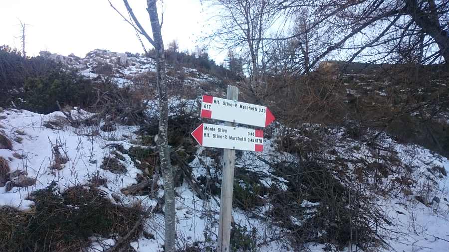 Indicazioni