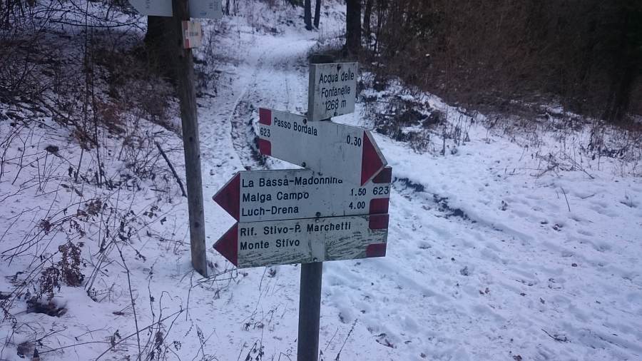 Indicazioni