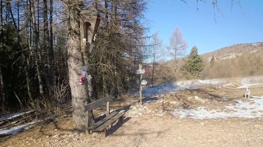Indicazioni