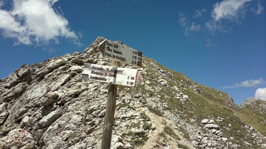 Indicazioni