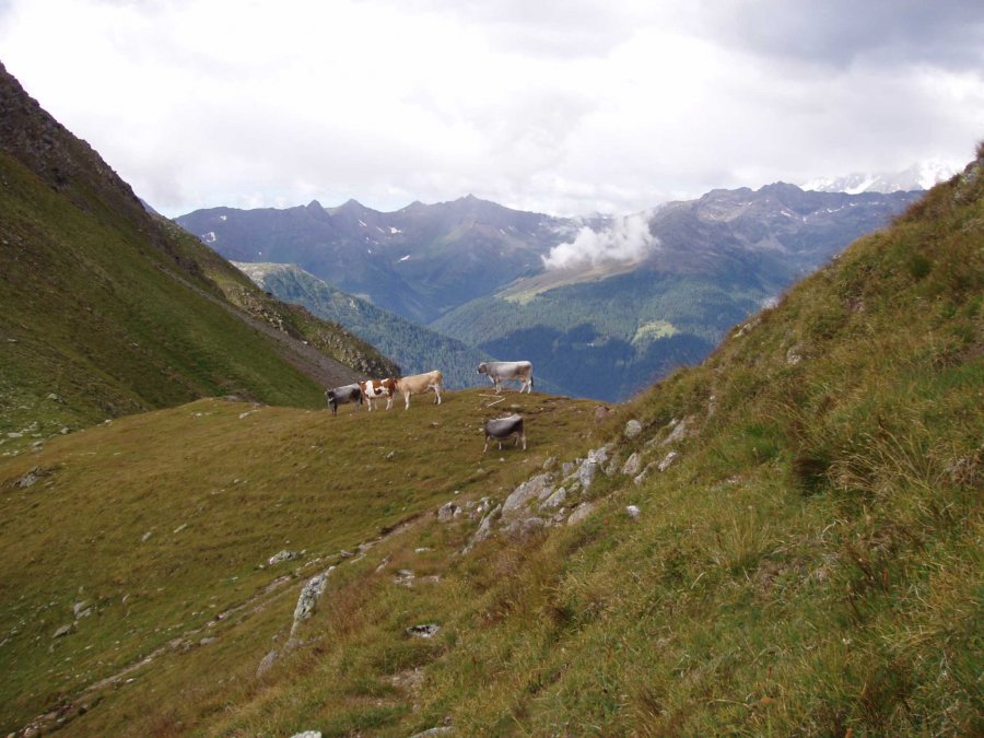 Passo