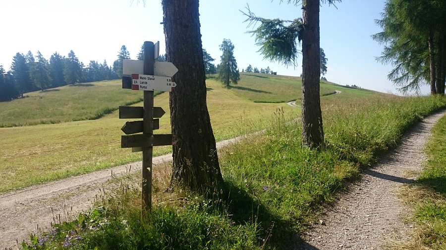 Indicazioni