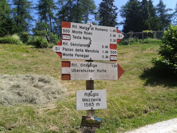 Indicazioni
