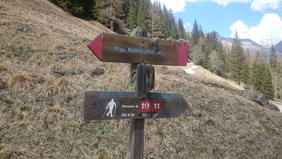 Indicazioni