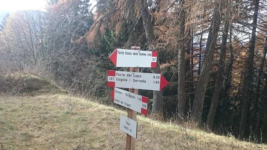Indicazioni