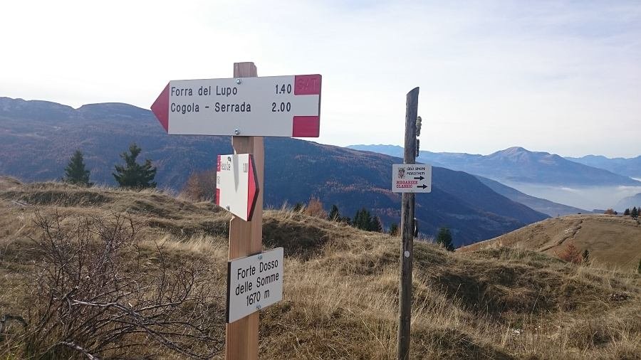 Indicazioni