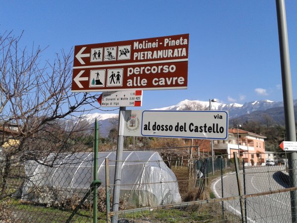 Indicazioni