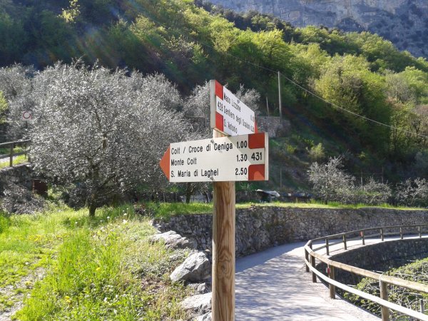 Indicazioni