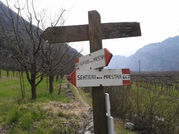 Indicazioni
