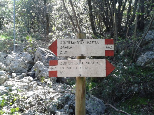 Indicazioni
