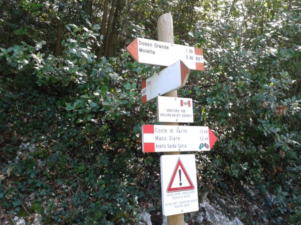 Indicazioni