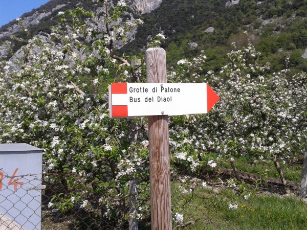 Indicazioni